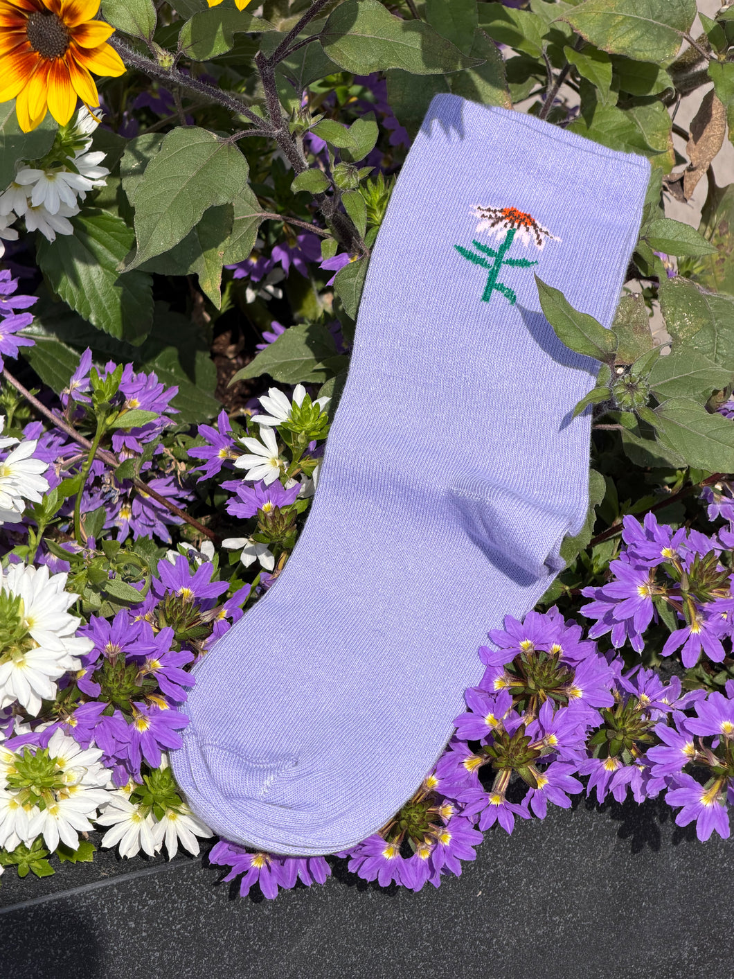 Floral Micro Crew Coneflower Purple